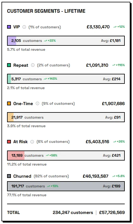 Customer segments showing VIP, Loyal, At-Risk and One-Time with lifetime value